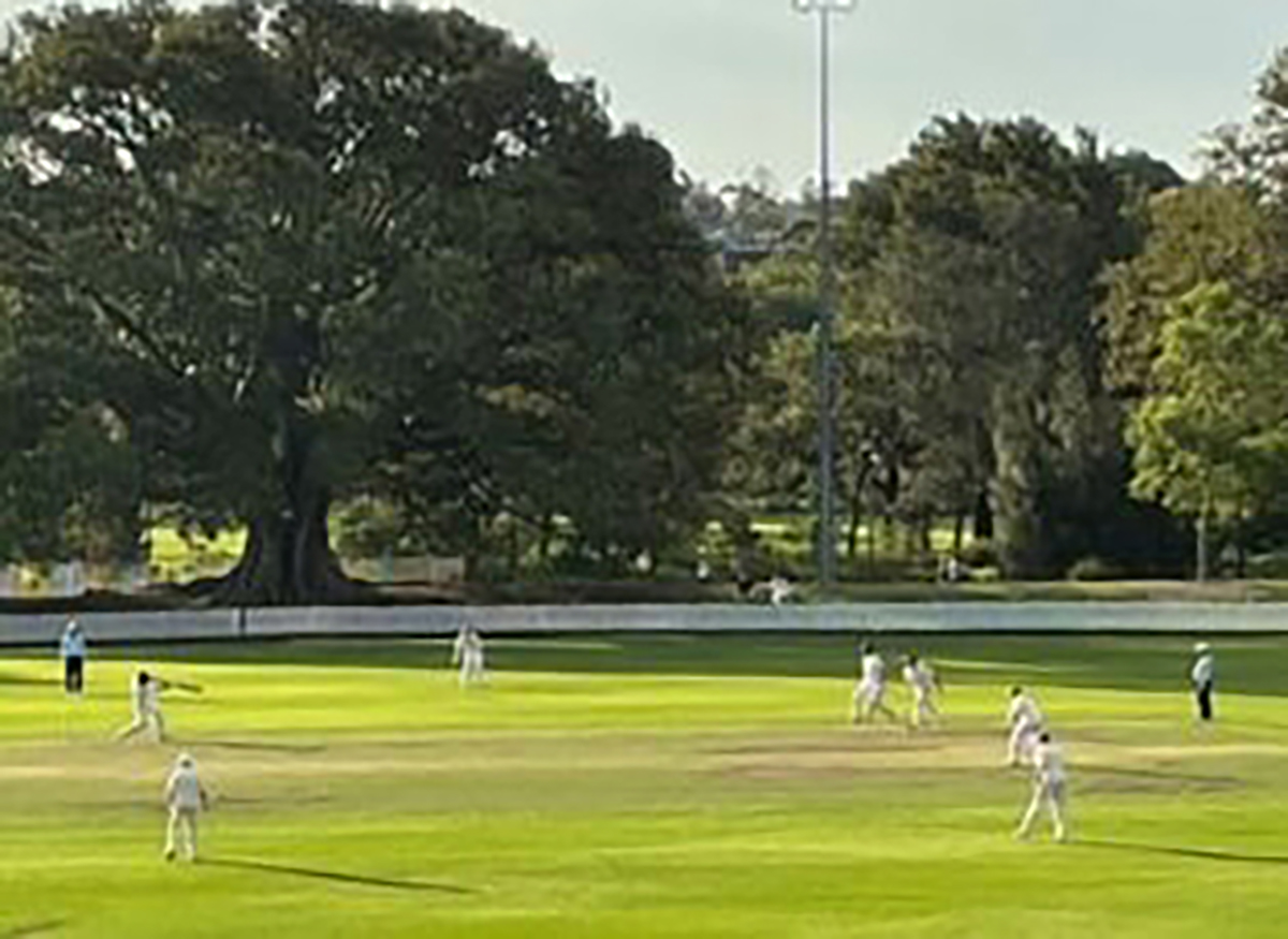 Featured image for “PCA Team in final ball thriller at Glebe”